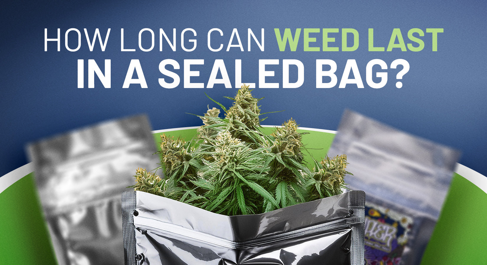 How Long Can Weed Last in Sealed Bag Featured Image