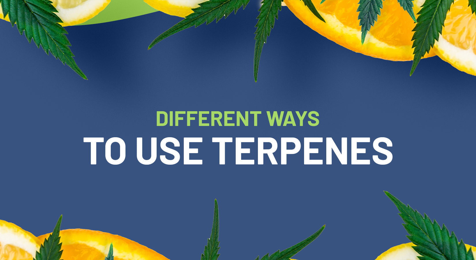 6 Different Ways to Use Terpenes
