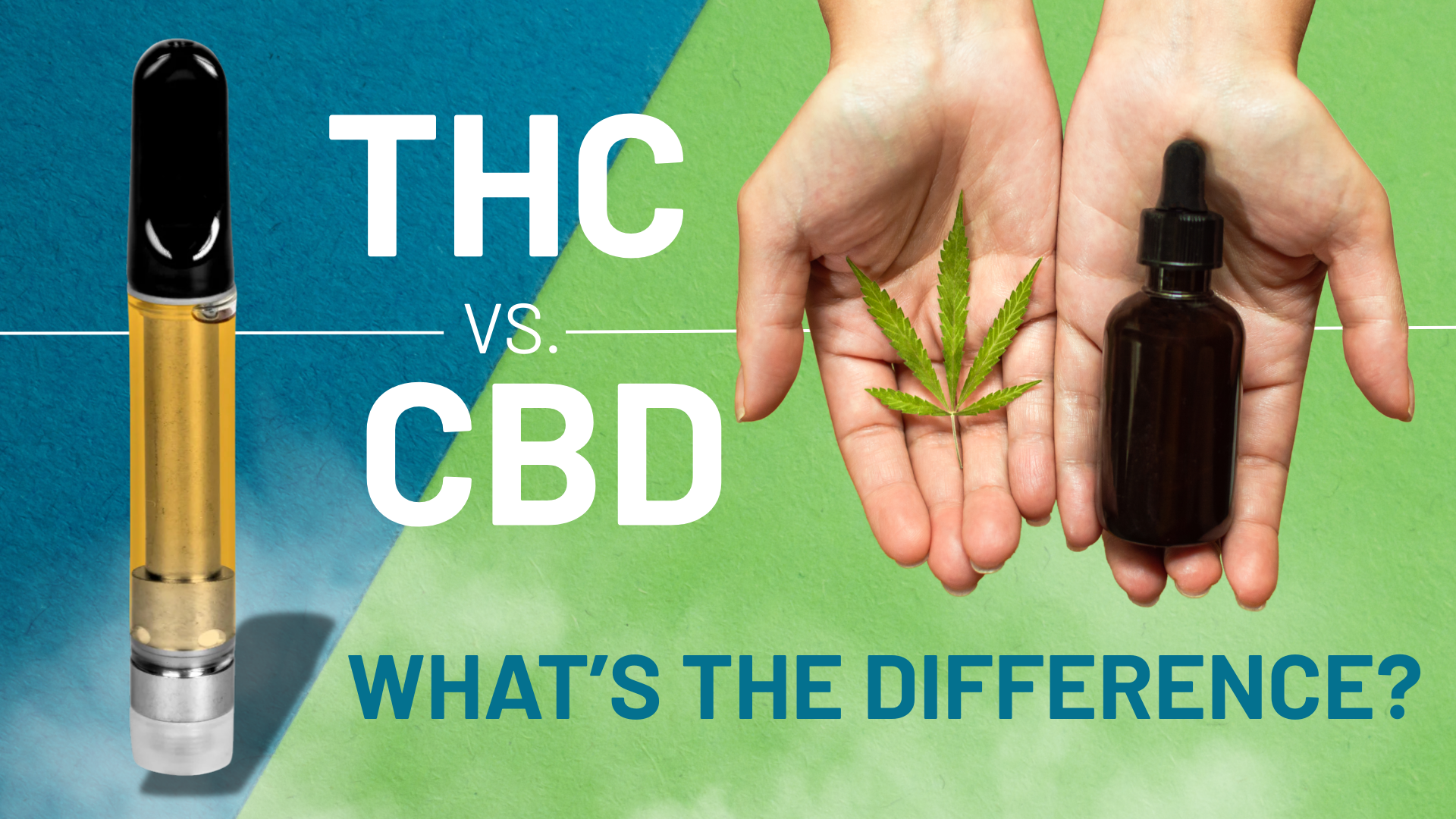 THC vs. CBD: What's the Difference? Featured Image