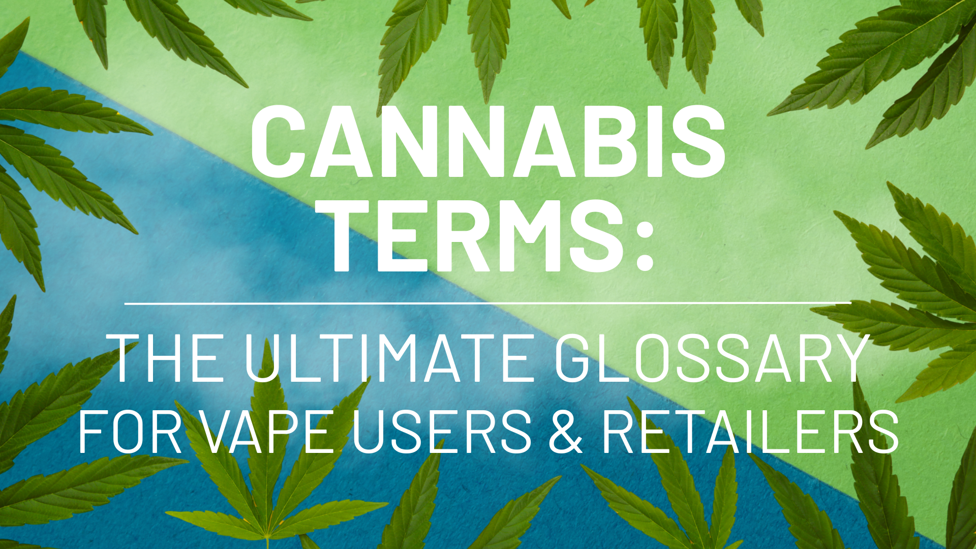 Cannabis Terms You Need to Know: The Ultimate Glossary for Vape Users, Retailers, and Brands